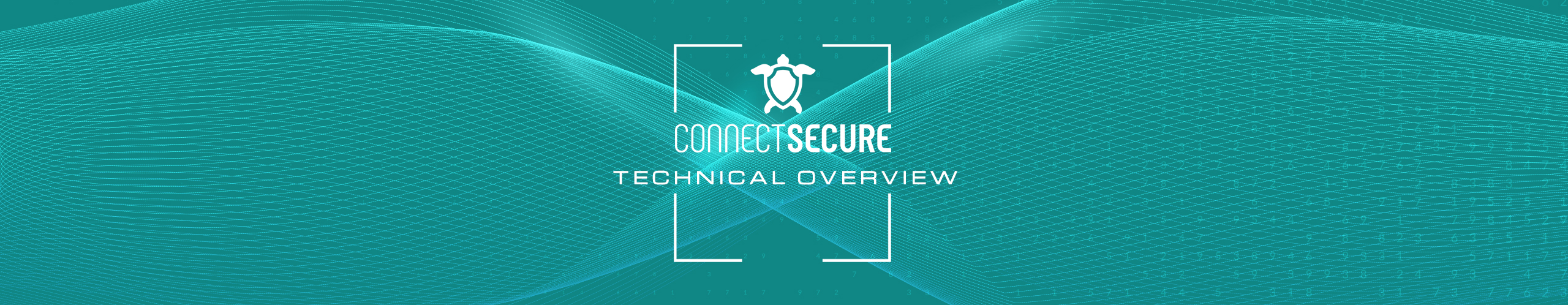 ConnectSecure
